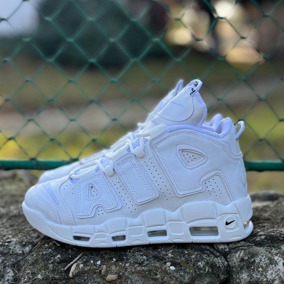 AIR MORE UPTEMPO Alb