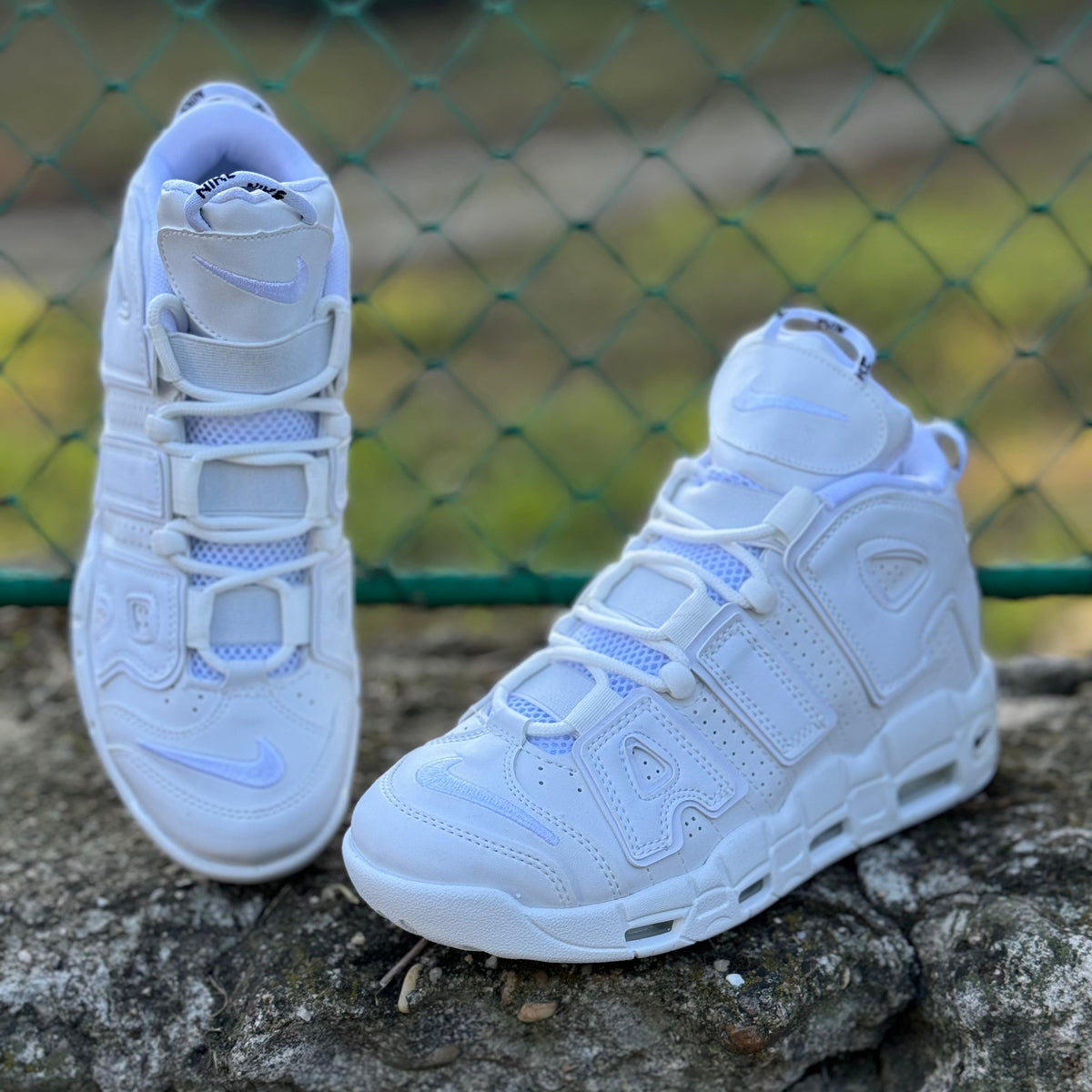 AIR MORE UPTEMPO Alb